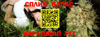 амф Тара