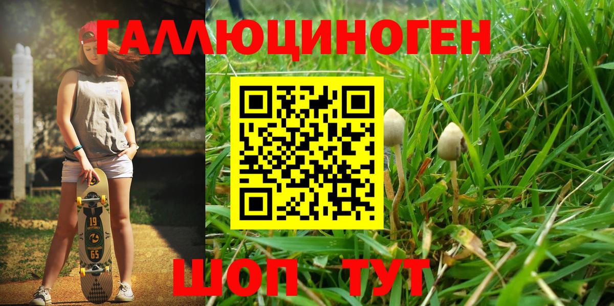 Галлюциногенные грибы Psilocybine cubensis  Псилоцибиновые грибы Psilocybe  Мелеуз  купить  сайты  Вход с VPN 
