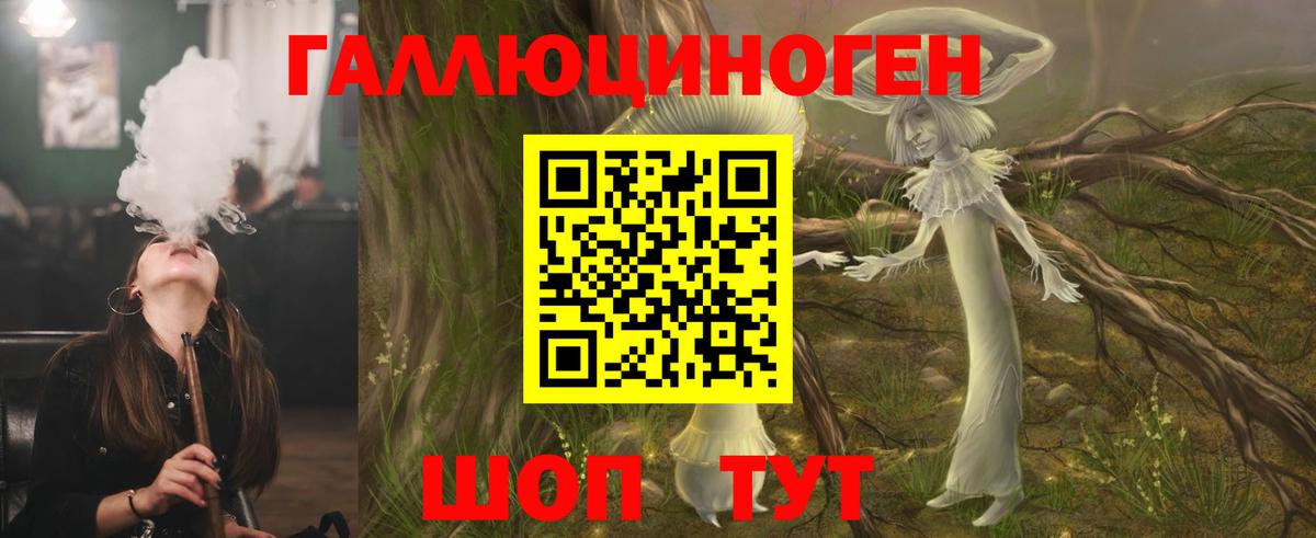 Псилоцибиновые грибы Psilocybe Мелеуз